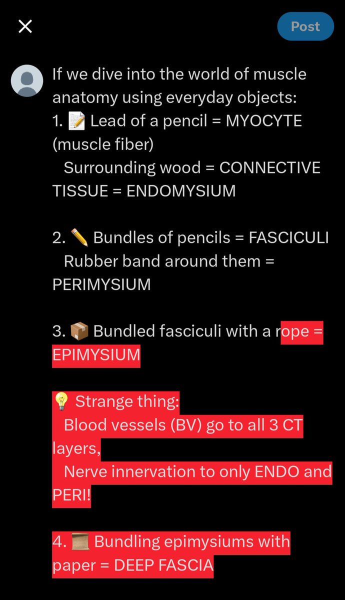 🤯 That's your basic muscle anatomy lesson! Thank me later. #MuscleAnatomy #Physiology101 💪🧠'