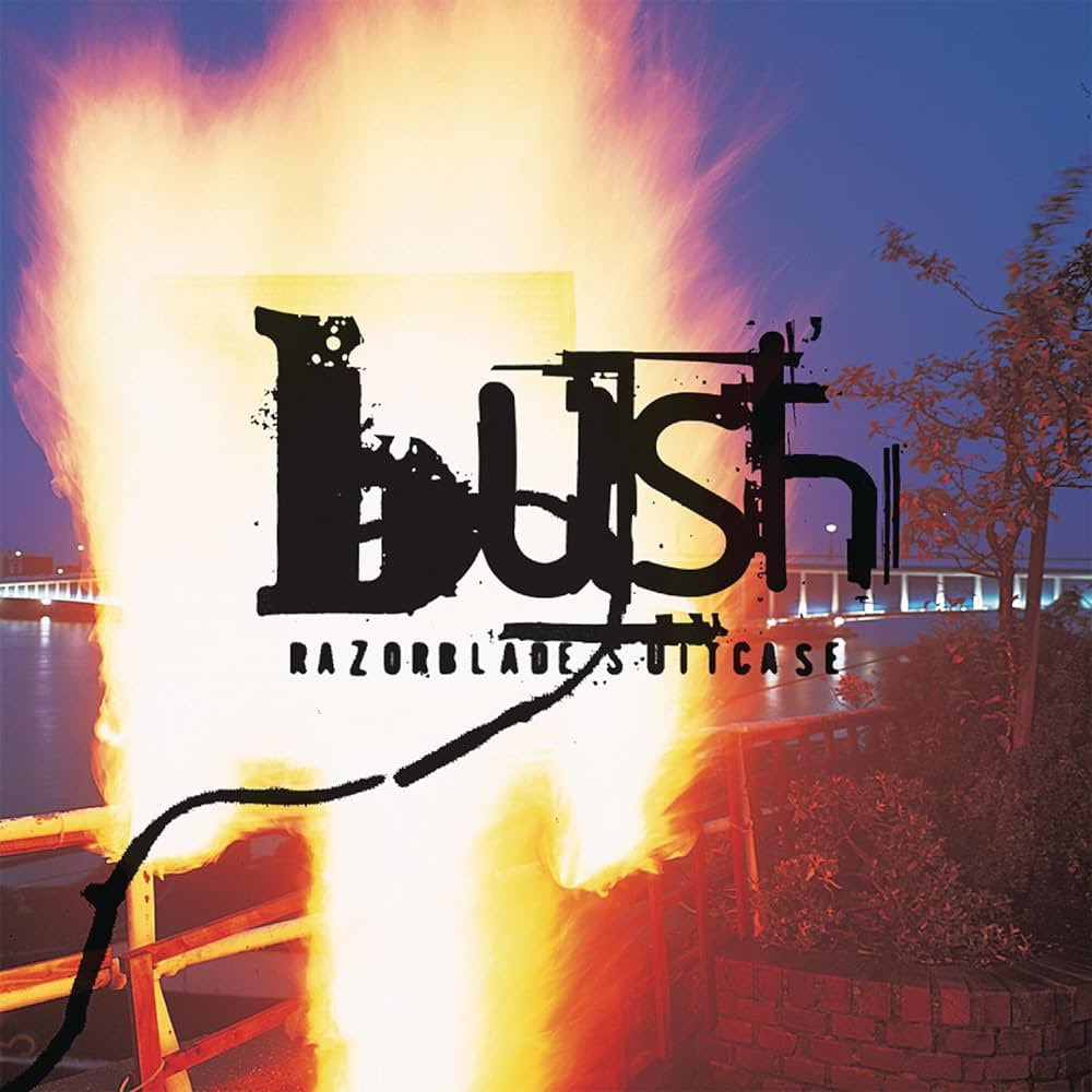 BUSH tweet media