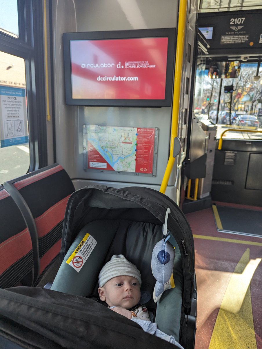 This baby rides the bus. @DCCirculator 🚌
