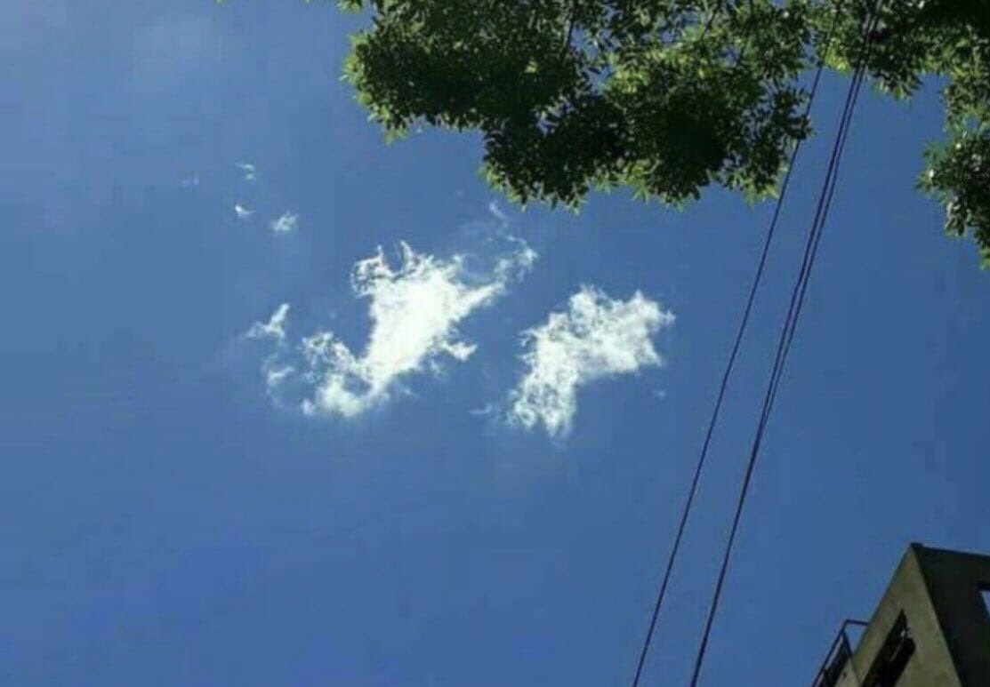 MauroFdz's tweet photo. - Nadie: 
- Fiscal de LLA: bajen esa nube que está induciendo el voto. https://t.co/zGrlPerlgh