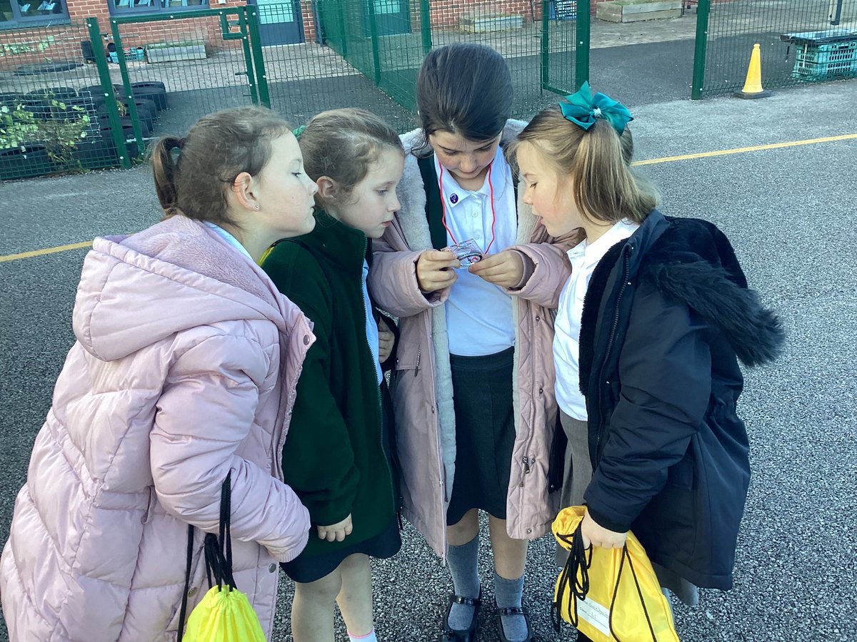 Y3@bedforddrive tweet media