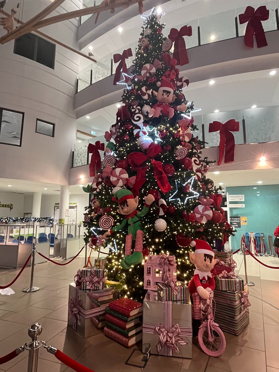 Would you like to perform at Alder Hey over the Christmas period? 🎄 We’re inviting choirs, performing artists, and entertainers to share your talents and bring some festive magic to our hospital atrium 🤩 Interested? Email patientexperience@alderhey.nhs.uk to get involved!