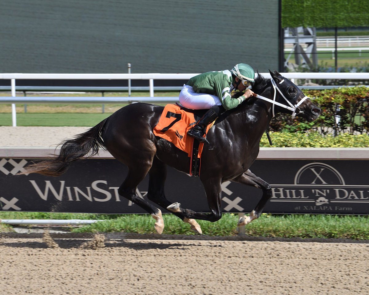 GulfstreamPark's tweet photo. Fiona's Magic romps in the third race, apprentice jockey Jon Rivera up, Michael Yates is the winning trainer. #GulfstreamPark #SunshineMeet https://t.co/kKjj5KorR2