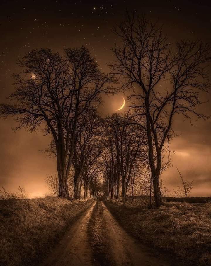 Wishing you a peaceful night ✨️🤎💫