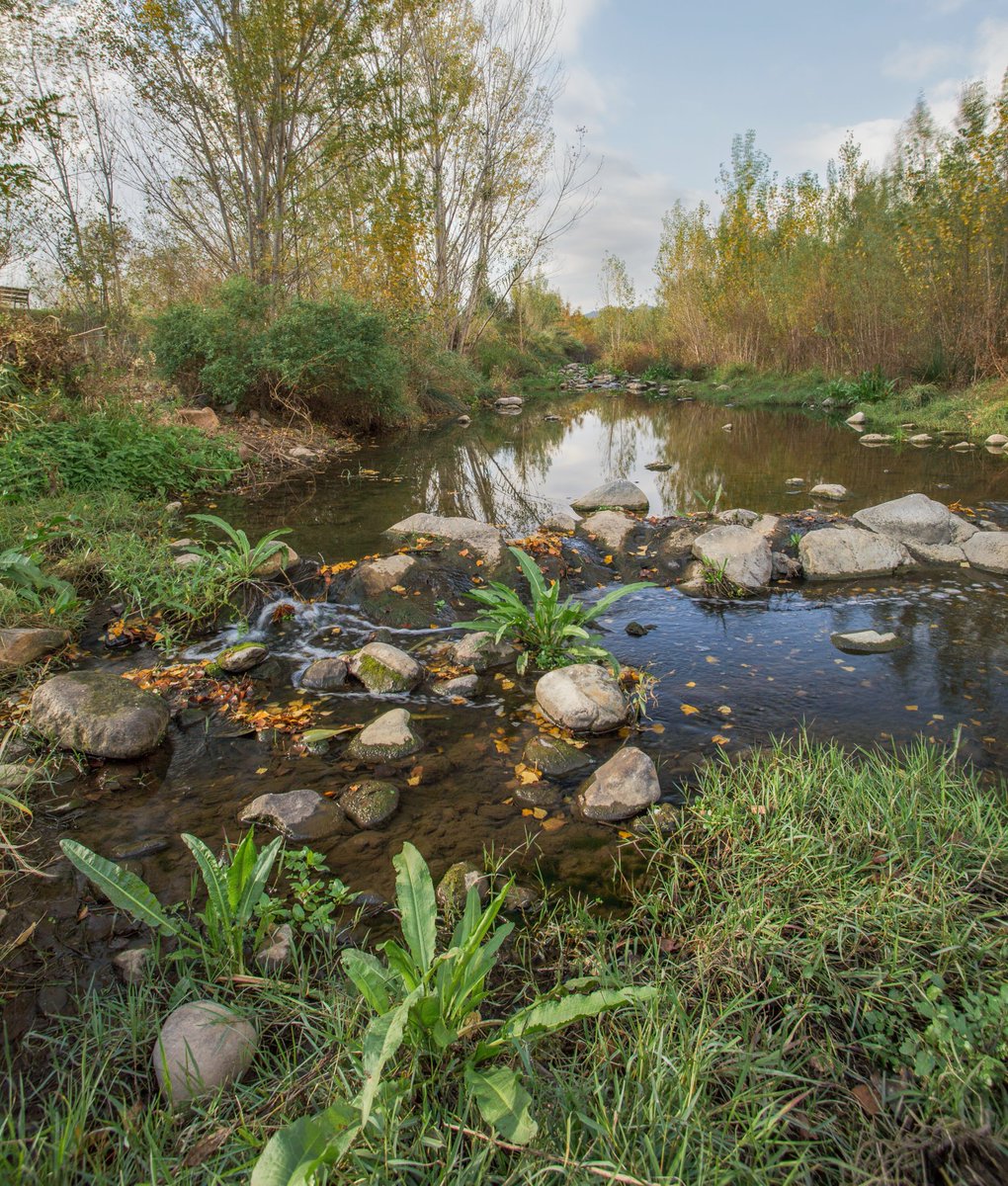 Després de 3 anys de sequera el Congost està sota mínims, encara  gràcies que baixi una mica de aigua.
#ClimateEmergency 
#canon5dmark2
#Catalunya 
#congost