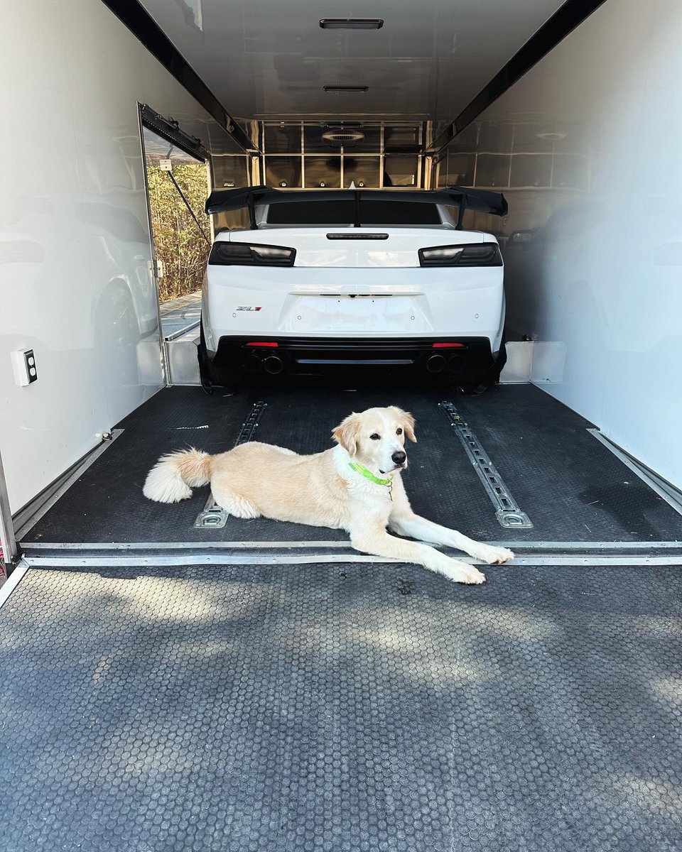 mattdracing's tweet image. Heading to VIR for a @cltspeed track day! Brian wanted to assist with our new @rytashstraps 🐾🏁

#mattdracing #CamaroZL1 #ZL1 #1LE #Camaro #Trackcar #Chevroletperformance #Corsaexhaust #Kooksheaders