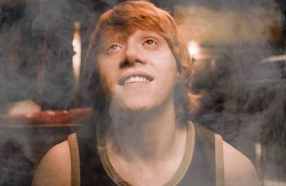 GeniusPothead's tweet photo. Me thinking about smoking weed while smoking weed https://t.co/ssOYt5pPS9