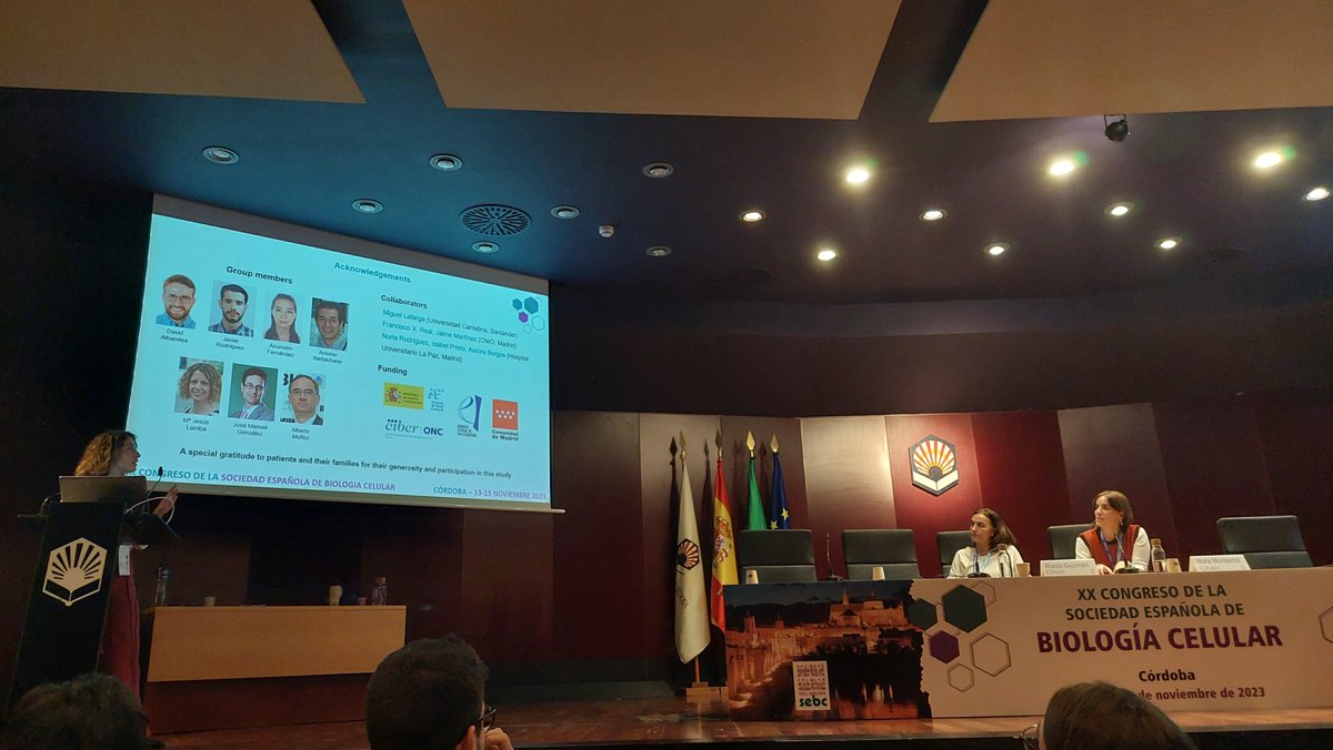 precicolon's tweet photo. La red PRECICOLON de la Comunidad de Madrid ha participado estos días en el XX Congress of the Spanish Cell Biology Society en Córdoba, con la Dra. Pilar Bustamante difundiendo nuestros últimos resultados de investigación. 😉

https://t.co/5TK8OIJs7E https://t.co/vAGgKJnJXa