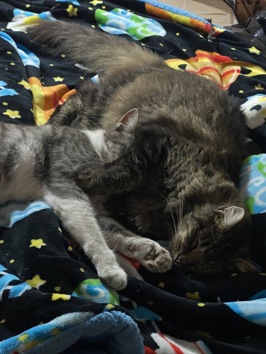 omgj (@omgjuana) on Twitter photo 