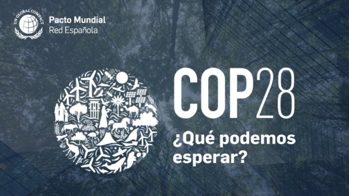 COP28 en Dubái: Un Punto de Inflexión para la Acción Climática Global y el Compromiso Empresarial aproema.com/empresas_medio… #Galicia #residuos #EconomíaCircular #Aproema #GestoresderesiduosGalicia