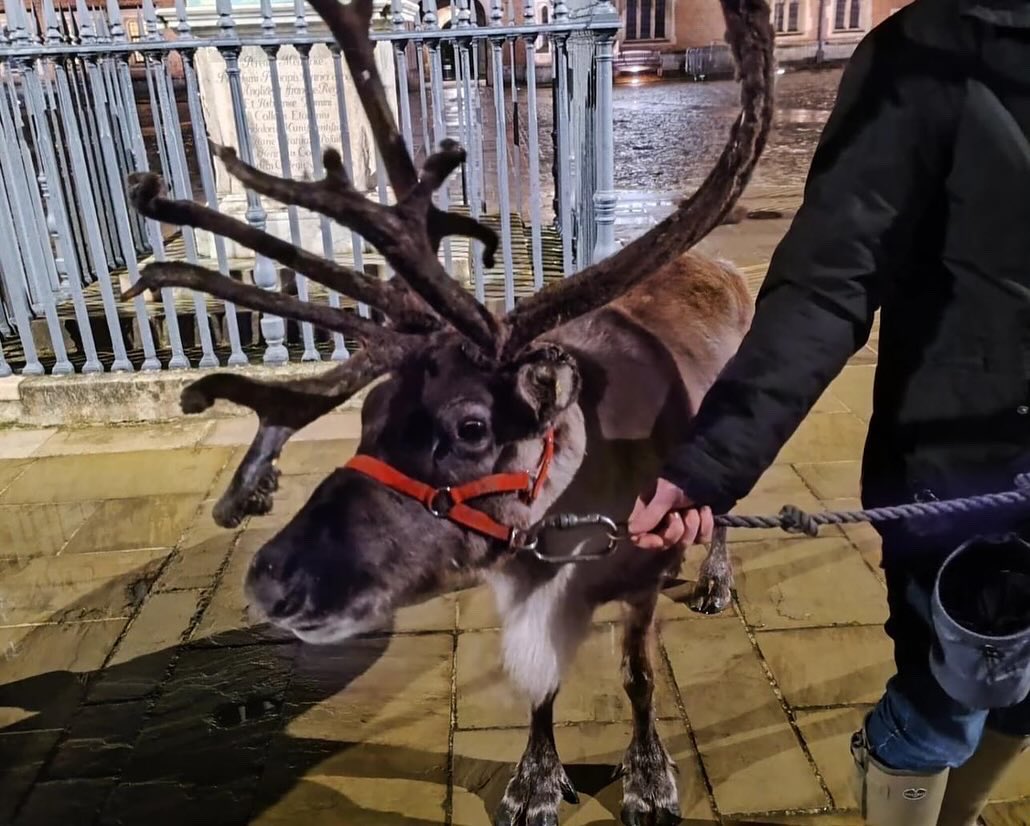 WindsorRotary's tweet photo. 🎄✨  Once again this year our Rotary members have rolled up their sleeves and joyfully volunteered to make the Eton Christmas Lights Switch On a magical experience for all ✨
#RotariansInAction #EtonChristmasLights #RotaryClub https://t.co/rUXMLInt6l