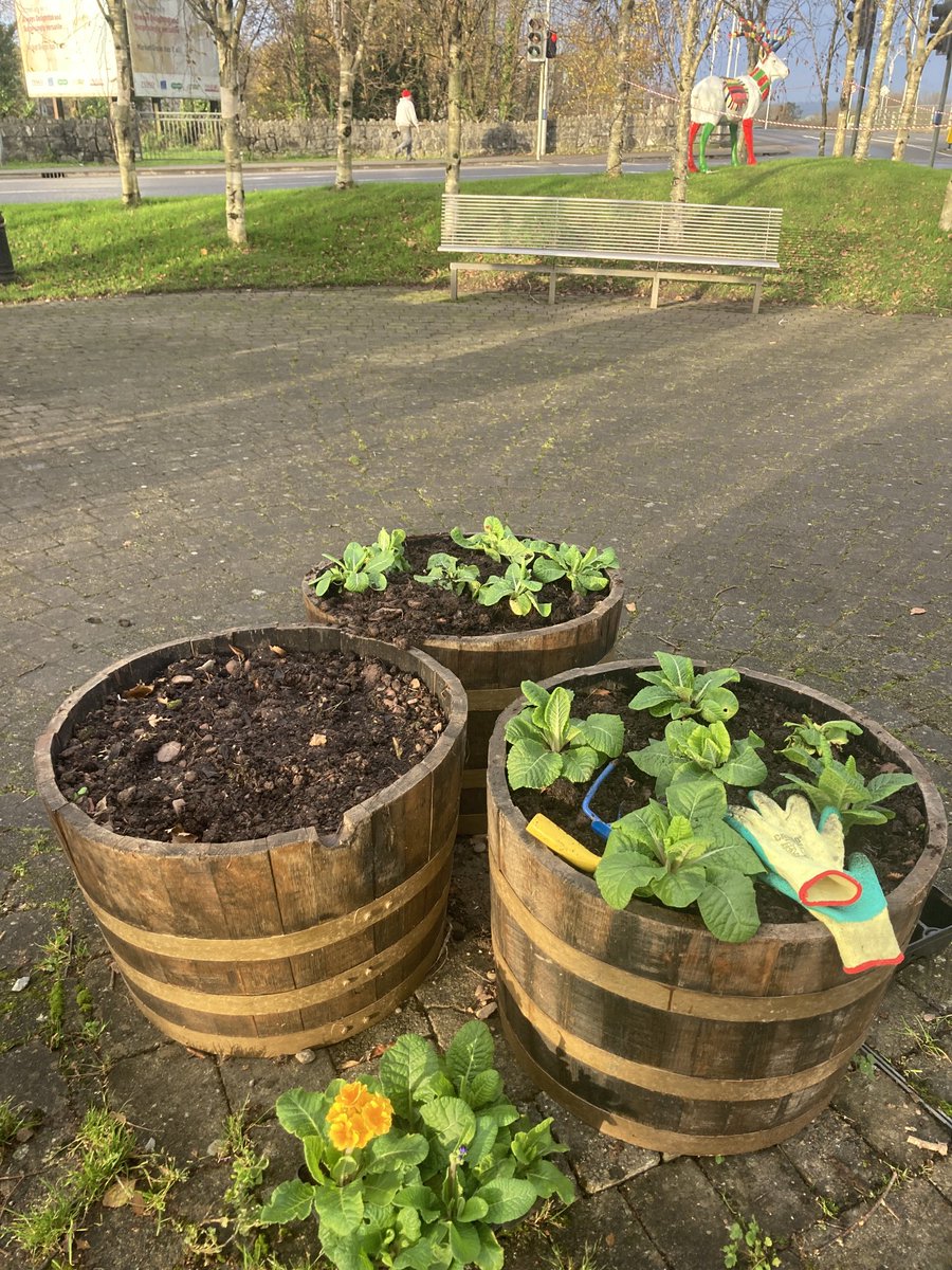 ClodaghMidleton's tweet photo. Planting and tidying with @MidletonTidy today in advance of #Midletonlights extravaganza this eve 🎅🌲HoHoHo 🤩 @CorkGreens https://t.co/V75kHzRFye
