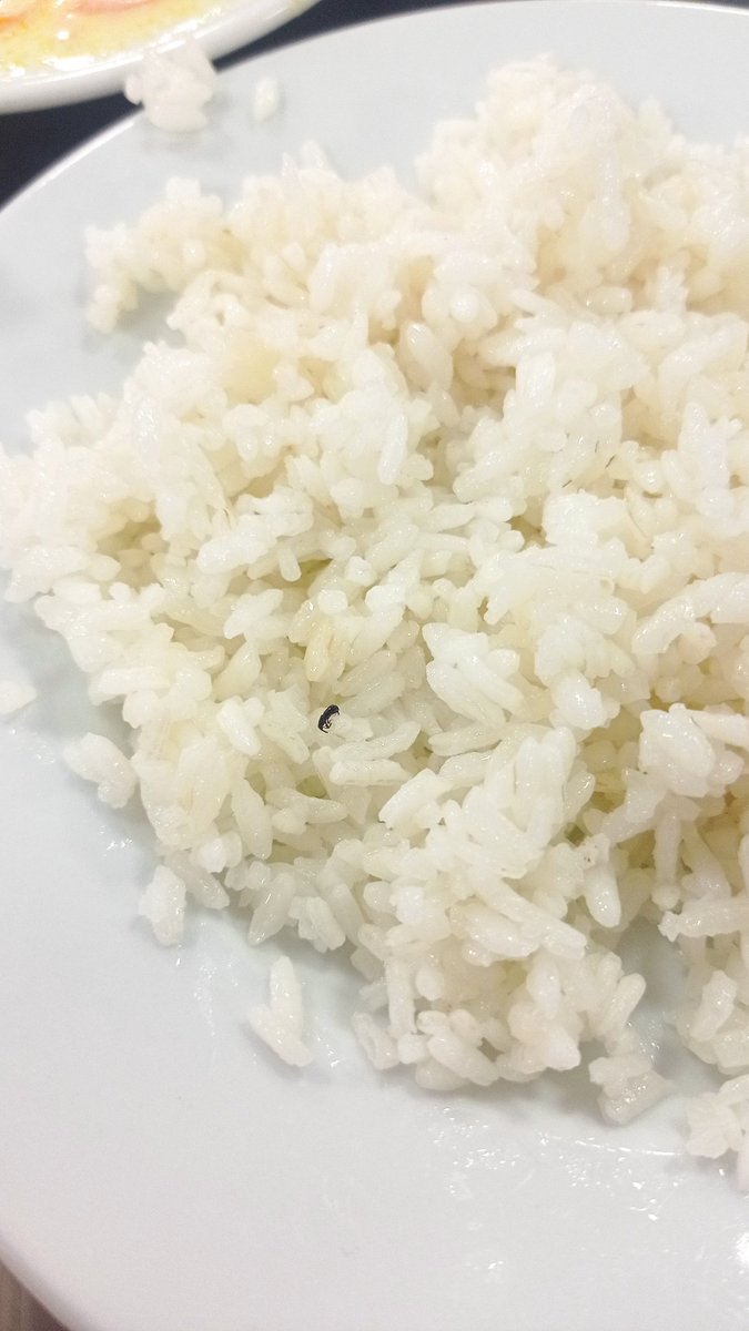 Yurtta protein olarak böcekli pilav veriyolar sonra da pirinç taşı o diyolar :)