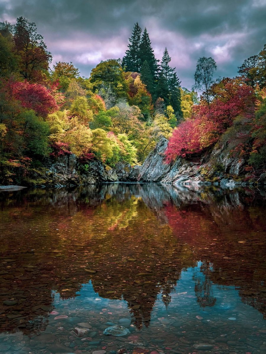 VisitScotland tweet media