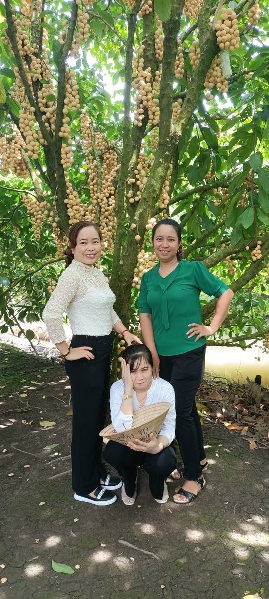 Thaodamdang1's tweet photo. Đi hái dâu với mẹ không. 
Hay là muốn hái 6 quả bưởi https://t.co/Pnmi6FNoOw