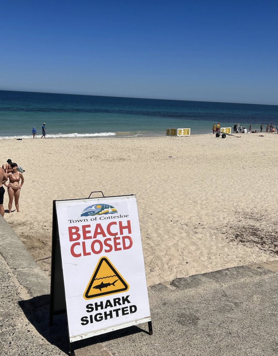 My daughter is on holiday in Australia with her boyfriend’s family and she was greeted with this sign on her trip to the beach!! Yikes!!!😳 Suddenly the movie JAWS comes into my head! I trust they’ll be sticking to the pool for now!!🙏🏽