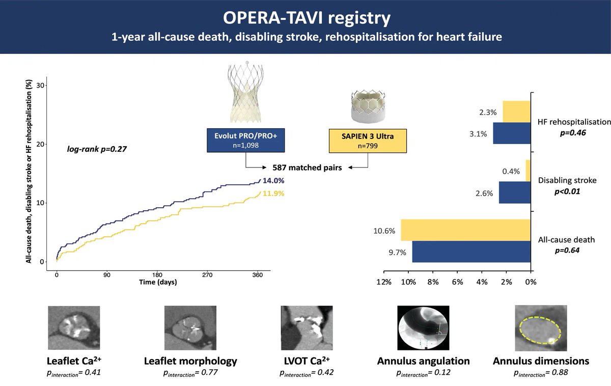 In the OPERA-TAVI registry, matched patients undergoing TAVI using Evolut PRO/PRO+ and Sapien 3 ULTRA devices exhibited comparable rates of the composite endpoint of all-cause mortality, rehospitalisation for heart failure, or disabling stroke at 1 year. eurointervention.pcronline.com/article/one-ye…