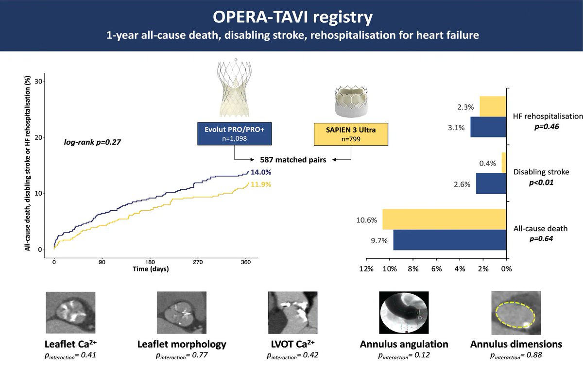 Davide Capodanno (@dfcapodanno) on Twitter photo In the OPERA-TAVI registry, matched patients undergoing TAVI using Evolut PRO/PRO+ and Sapien 3 ULTRA devices exhibited comparable rates of the composite endpoint of all-cause mortality, rehospitalisation for heart failure, or disabling stroke at 1 year. eurointervention.pcronline.com/article/one-ye… In the OPERA-TAVI registry, matched patients undergoing TAVI using Evolut PRO/PRO+ and Sapien 3 ULTRA devices exhibited comparable rates of the composite endpoint of all-cause mortality, rehospitalisation for heart failure, or disabling stroke at 1 year. eurointervention.pcronline.com/article/one-ye…