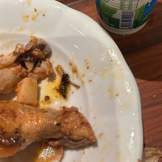 Gençlik Bakanı Osman Aşkın Bak:

"KYK yurtlarındaki yemekler uluslararası standartlarda."