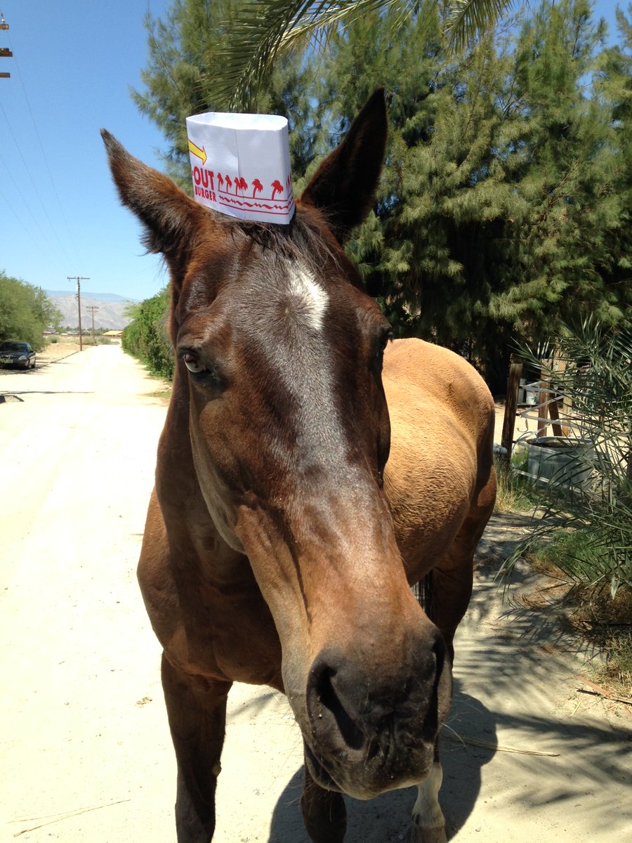 GloriousAllianc's tweet photo. On this #SecretSunday here are the not often seen photos of me in my @innoutburger hat... I loved wearing hats... https://t.co/D8P8gTO1zZ