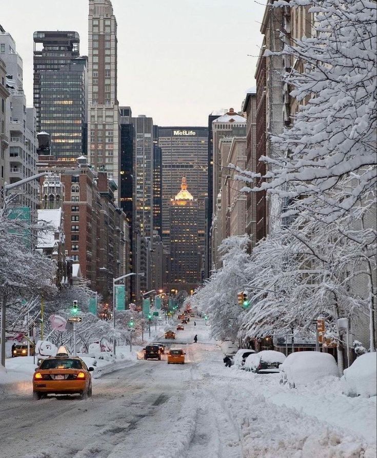 OfficialPLT's tweet image. Winter in New York ❄️