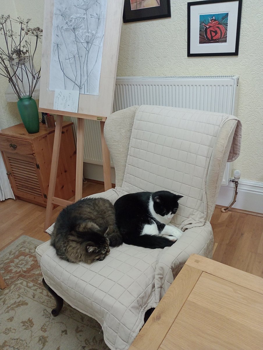 Jessica Rose tweet media