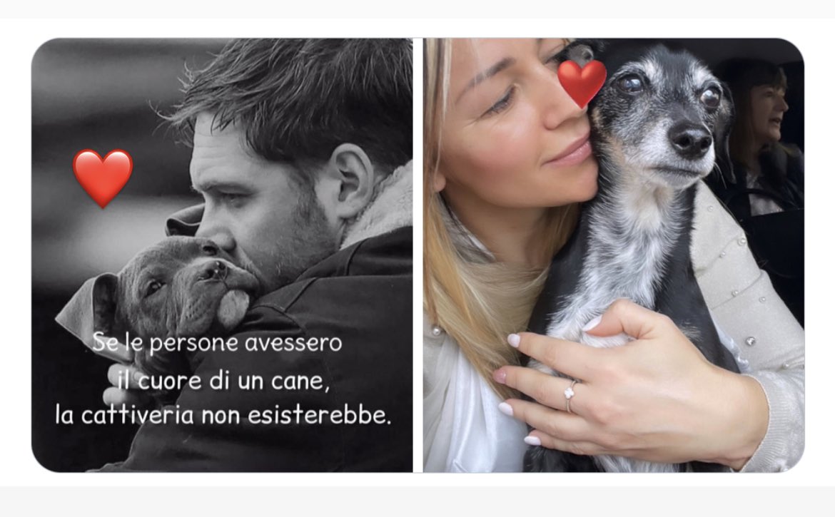 ❤️ DOG | GOD ❤️

Quando immagino L’amore incondizionato di Dio penso proprio a quello che i nostri cani ci donano…sempre.

Mi manchi Bettina 🐾😔😢

#AmoreVero #AmoreIncondizionato #Amore #Love #Cane #AmoreCane #TrueLove #DogLove #Doglover