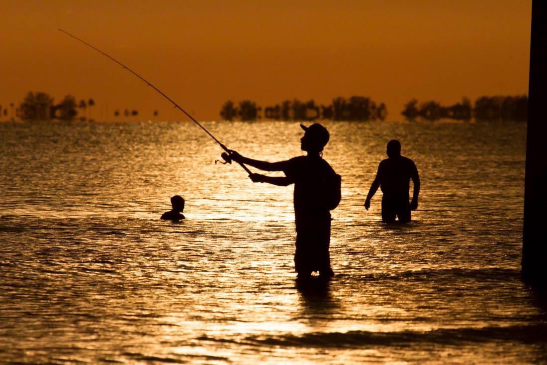 Jeffrey Ross Photo tweet media