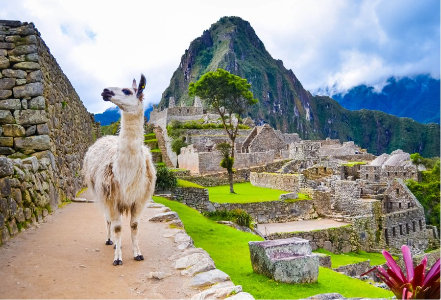 DaleSRogers's tweet photo. Machu Picchu, Peru rt @sertumore #Machupiccu #peru https://t.co/K8AjieiITf