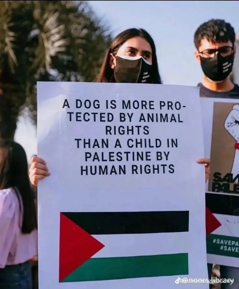 FizzaNadeem1's tweet photo. @abhiandniyu Pfft... talking about Palestinian children's human rights. Cancel this lady, sir.. she's nothing less than a criminal as well.. https://t.co/U7aYK78wuo