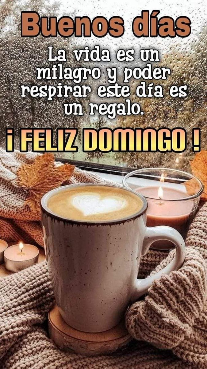 MariaElFr's tweet photo. https://t.co/OHdNUnntHD