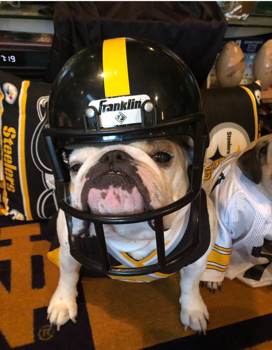 Put me in Coach Tomlin. I’m suited up and ready 🖤💛Here we go Steelers 🖤💛🖤💛 #steelers #HereWeGo #NFL