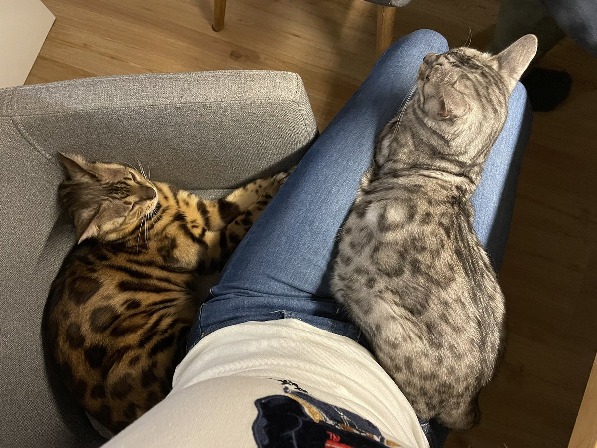 Immer mittendrin. ❤️