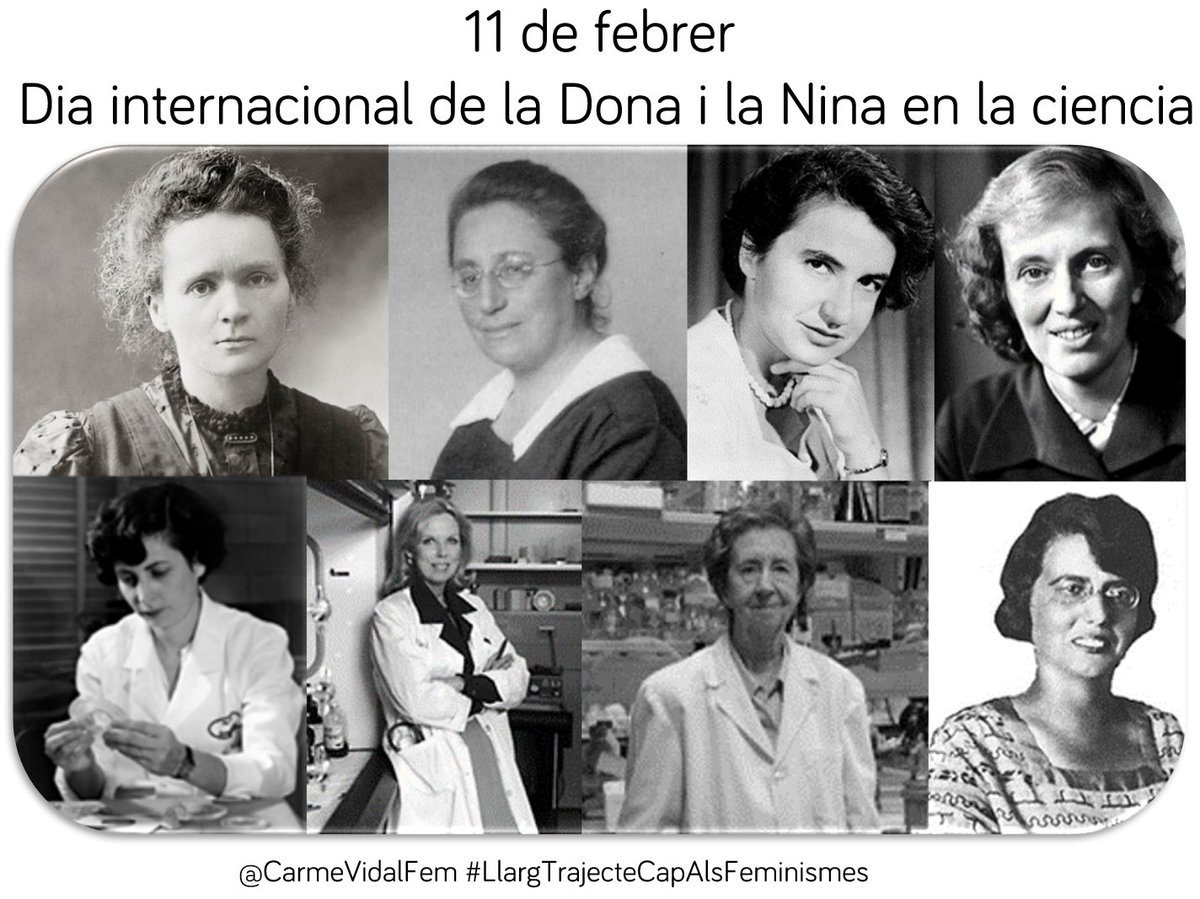 CarmeVidalFem's tweet photo. #11DeFebrer #DiaInternacionalDelaDonaILaNinaaLaCiència 👩🔬 #InternationalDayOfWomenAndGirlsInScience #CiènciaIDones #DonesCientífiques #mujeryciencia #11F #díamujeryniñaenciencia #LlargTrajecteCapAlsFeminismes #CapDonaEnOblit https://t.co/EXXLK2CSVp