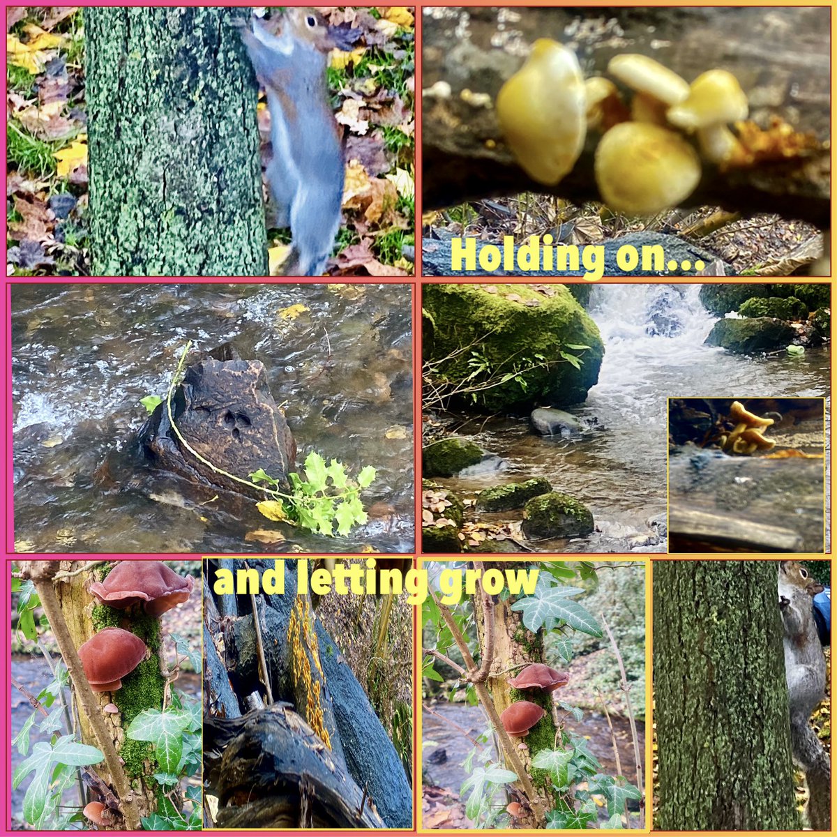 JudeMckerrecher's tweet image. A weekend of being inspired🕊️🙏- Grateful for all of the #tinymomentsofjoy 🫶&amp;amp; experiences created by kind people; for sharing special time with all ages at St. Columba’s Hospice, for an afternoon meditation retreat at KMC Edinburgh, &amp;amp; for lovely perspectives on light &amp;amp; nature💚