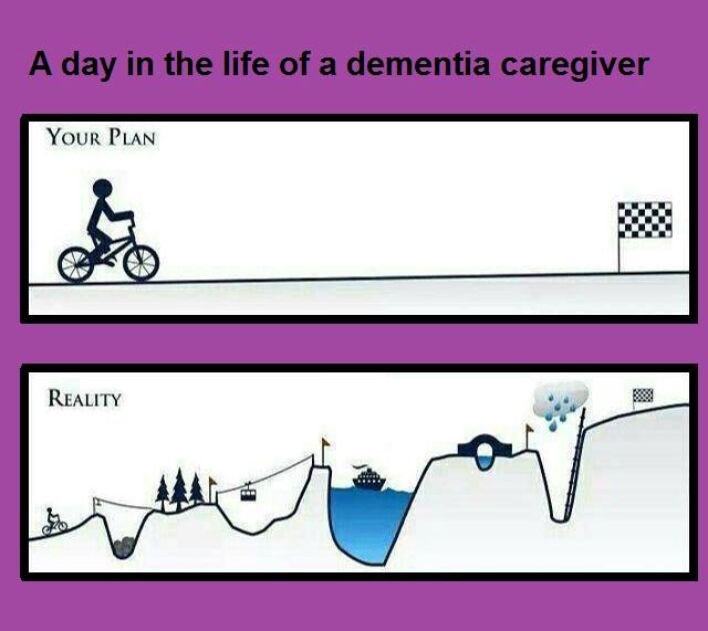 Ian Kremer tweet media