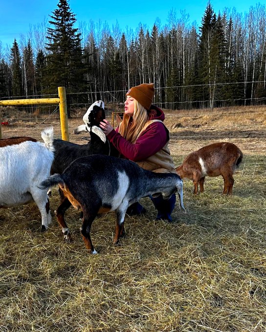 I was alway spending time with my family on the goat farm but I&rsquo;m back now and had so many goat cuddles<a href="/tag/oilers"class="tags"><span>#oilers</span></a>