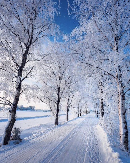The road continues, and the dream continues. The sky is high and the clouds are far away, at least you can see.
