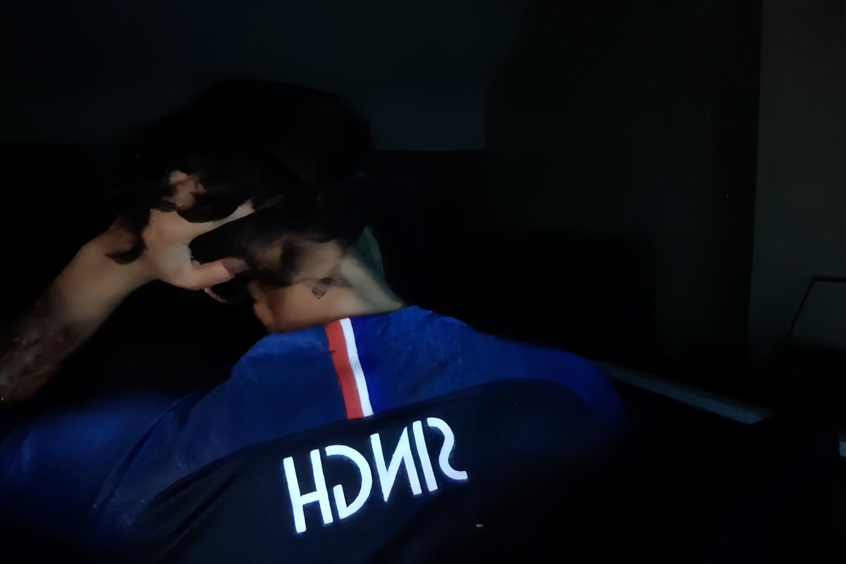 bernardo (@brtzein) on Twitter photo 