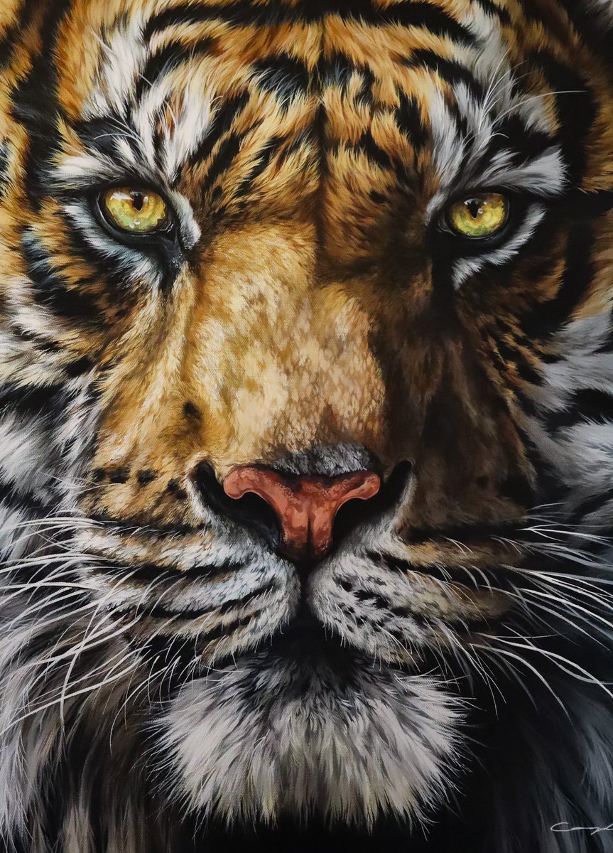 Finished this beauty right before #GreyCup2023 weekend. 🏈
Although my <a href="/Ticats/">Hamilton Tiger-Cats</a> aren’t in the big show, I sure am proud we’re hosting it. 🤎 Oskee WeeWee! <a href="/CaretakerBob/">Bob Young</a> Thank-you for all you do!