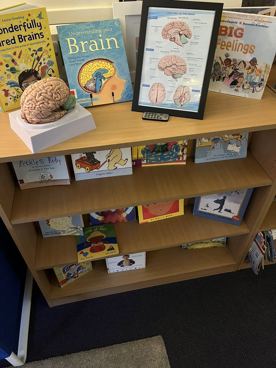 AshTreeKATPS's tweet photo. Our @ThriveApproach space where we work with children to support and help our children learn about their emotions and develop strategies to regulate their own behaviour. #thriveapproach #Semh #voicechoiceandopportunity #wellbeing @AshTreeEYFS https://t.co/bXOzQNevN0