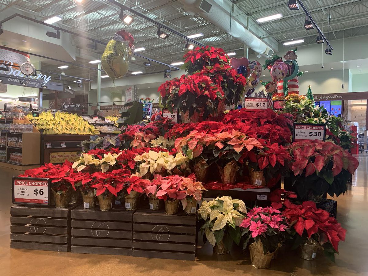 Need a last minute hostess gift for your Friendsgiving or family gatherings? Drop by your friendly St. Joseph Cosentino’s Price Chopper and pick up some of our festive poinsettias. And Happy Thanksgiving, from our family to yours.
