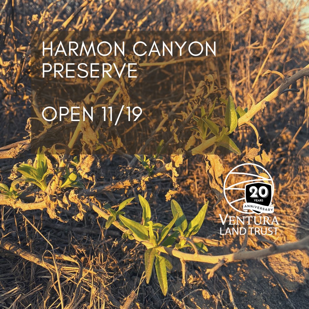 Harmon Canyon Preserve will be open to the public starting Sunday, November 19th, after receiving just shy of .5" of rain over the past few days.
Thank you for respecting the preserve closure and giving our plant and animal friends time to enjoy the preserve on their own.