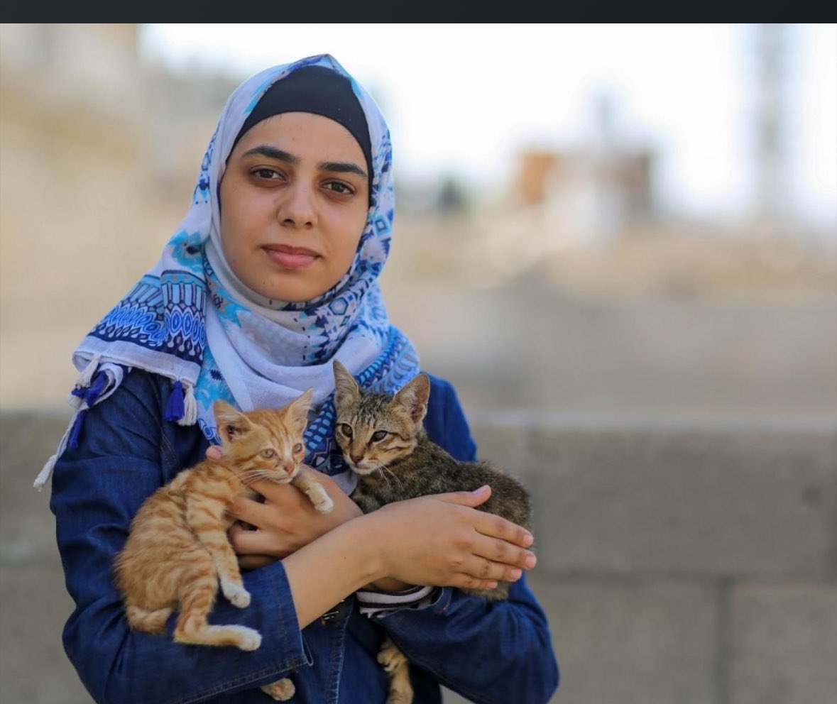 theAleppoCatmen's tweet image. Please join us in our prayers for the safety of the cat lady of Gaza @nour_maryam may god bless you and your animals . Please friends pray for her and don’t lose time
With political issues. From cats lovers to cats lovers !!