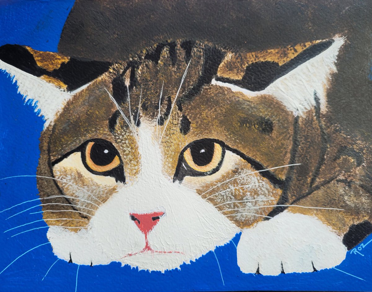 rozdown1's tweet photo. Original cat artworks on A5 cards with envelope. Only £45 framed + p&amp;p if you are not local. DM me for info. #cat #cats #catsofinstagram #catloversworld #catlovers #catlovers #catportraits #catportrait #catart #catartwork #catartist https://t.co/hhWbqrdEpN