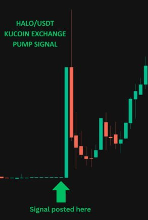 RocketPumpGroup's tweet photo. Another super successful #SundayKucoinPump.

Our groups pumped the coin $HALO/USDT over 150%, our whales supported the price for over 30 min and gave our member's several opportunities to profit! 

Join the telegram:

✅https://t.co/EBu1OE6ZEk https://t.co/UtDOIoJYnO