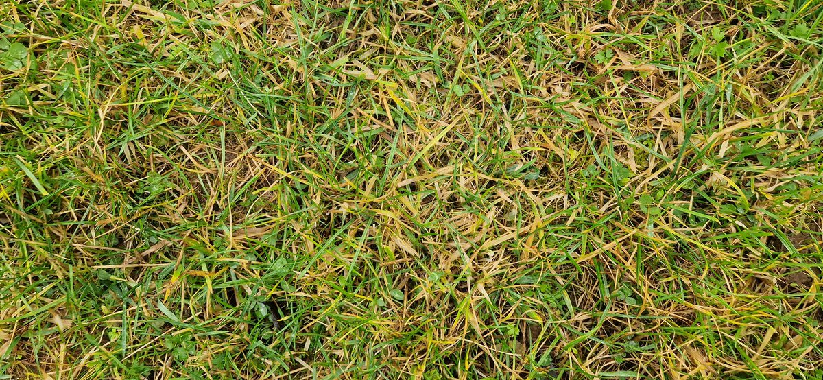 Niall Blair tweet media