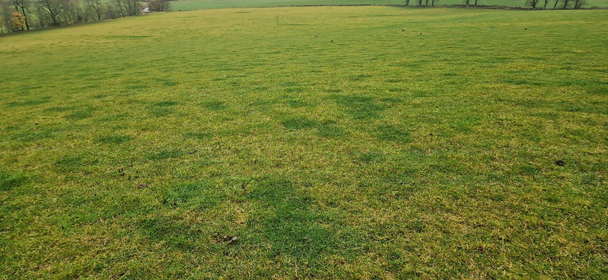 Niall Blair tweet media