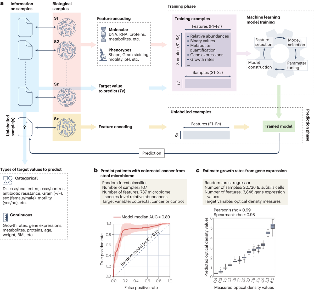 A Review in @NatureRevMicro examines the main machine learning concepts, tasks and applications that are relevant for experimental and clinical microbiologists. 🔒 go.nature.com/47xzB2G