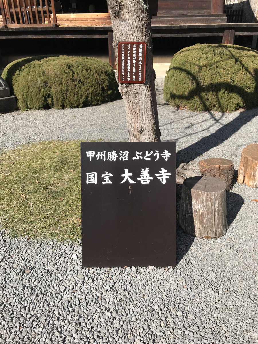 geotofficial's tweet image. 【#今日は何の日】
本日11月20日は「#山梨県民の日」です。

こちらは2016年に大ヒットしたドラマ「#逃げるは恥だが役に立つ」のロケ地にもなった山梨県甲州市にある大善寺。「#ぶどう寺」としても有名で、グラスワインが飲める拝観券（拝観料＋300円）がありました。

#ワインの日 #逃げ恥 #国宝